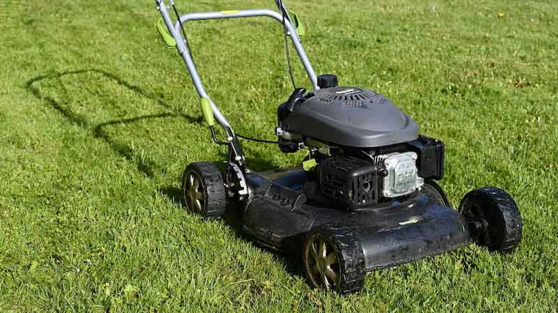 push lawnmower on grass