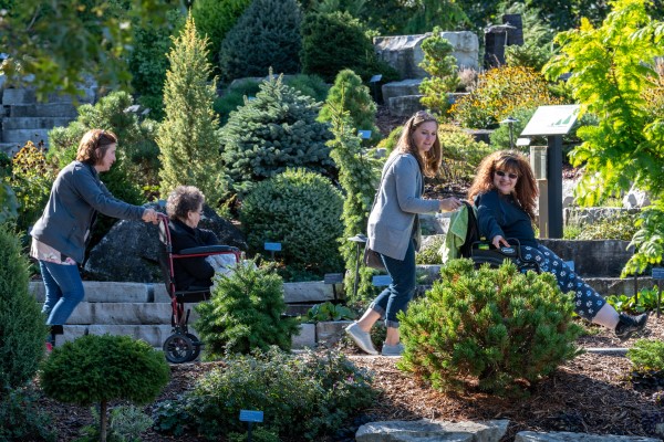 People exploring Green Bay Botanical Garden in wheelchairs.