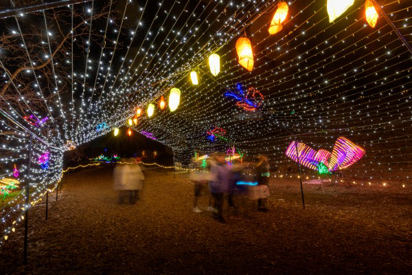 guests walking through holiday light tunnel