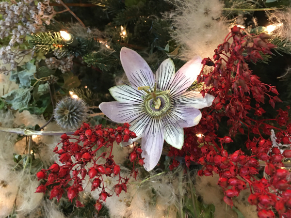 red, white, and green natural decor on holiday tree