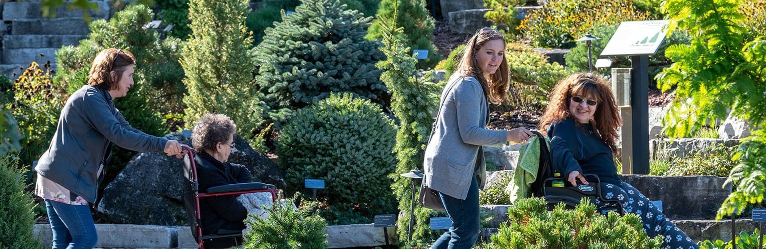 Visitors exploring Arendt Conifer Garden